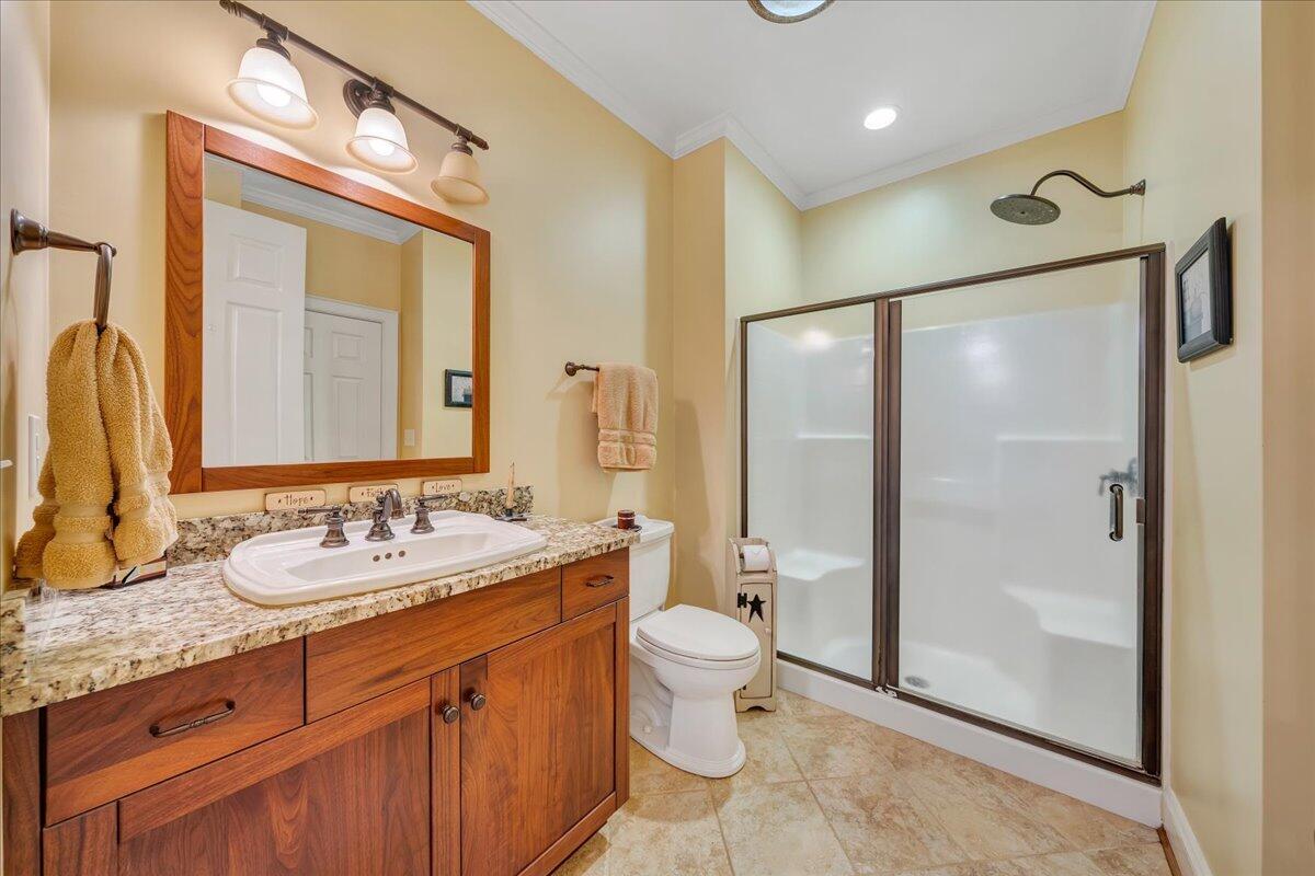 400 Quail Ridge Drive Fincastle, VA 24090 - Photo 44 of 113 a bathroom with a granite countertop sink toilet and shower