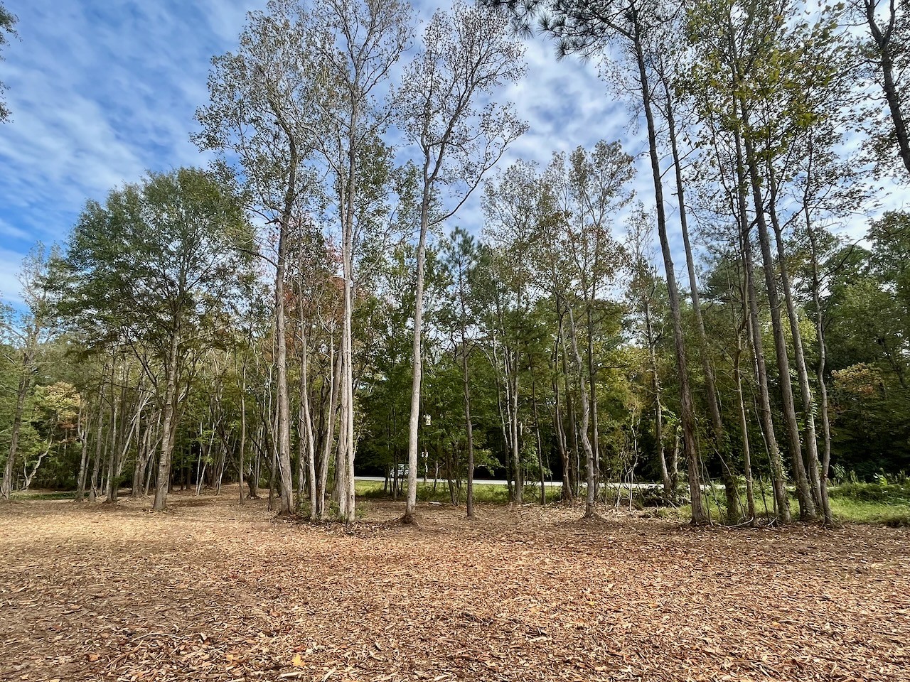 a backyard of a house with lots of trees