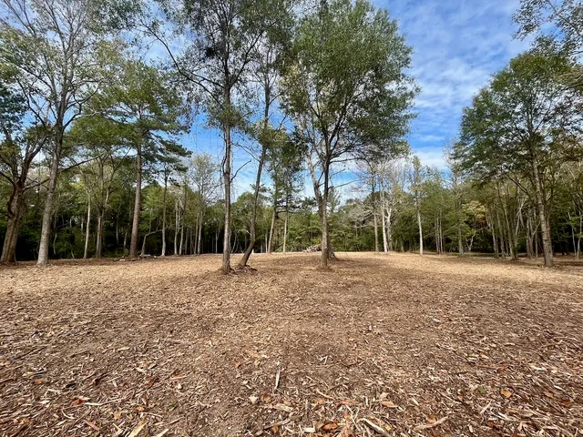 a view of outdoor space with trees