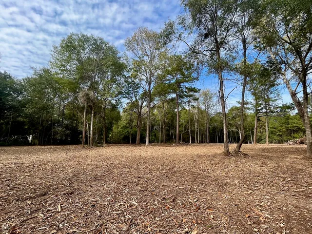 a tall wooden house with trees in front of it