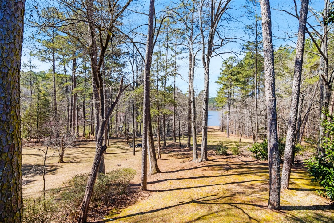 486 Pike Road Central, SC 29630 - Photo 40 of 50 Gallery Image 40