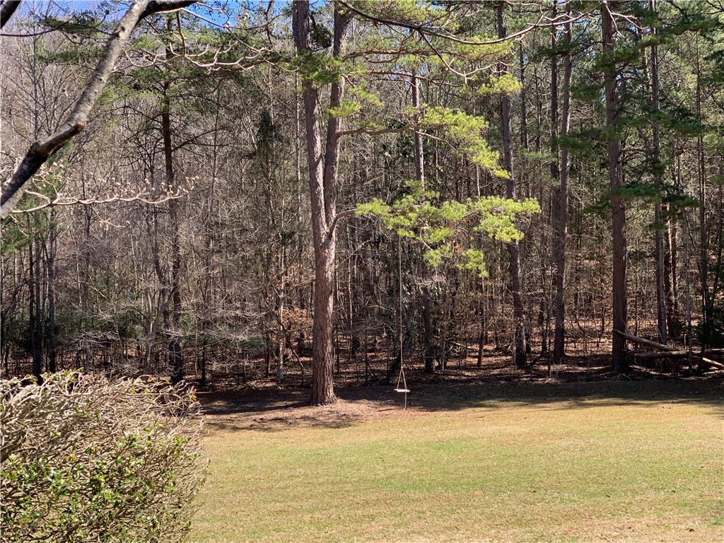 486 Pike Road Central, SC 29630 - Photo 49 of 50 Gallery Image 49