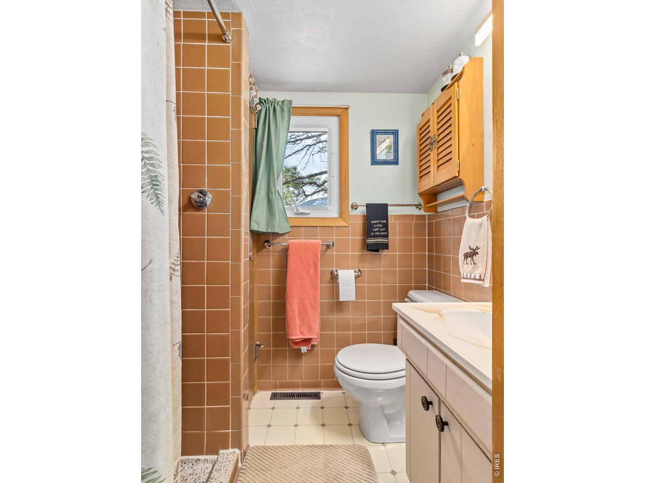 839 Ski Road Allenspark, CO 80510 - Photo 28 of 47