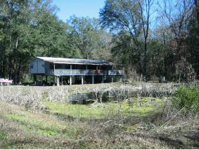 17240 181st Loop Live Oak, FL 32060 - Photo 1 of 2 Gallery Image 1