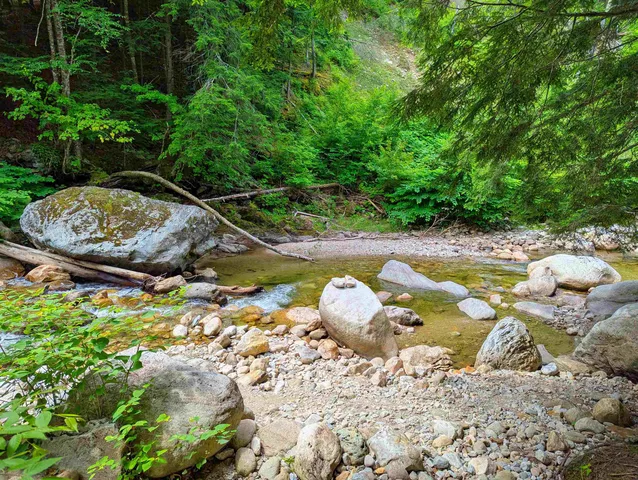 $55,000 | 150 Upper Cold River Road, Shrewsbury, VT 05738