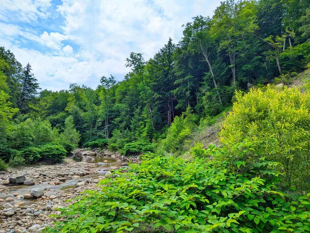 $55,000 | 150 Upper Cold River Road, Shrewsbury, VT 05738