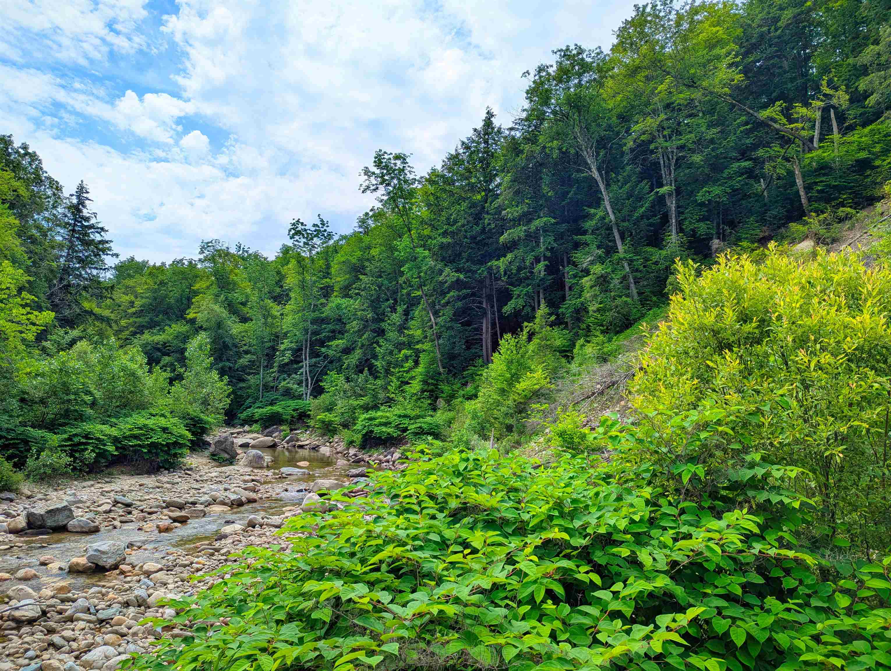150 Upper Cold River Road Shrewsbury, VT 05738 - Photo 14 of 16