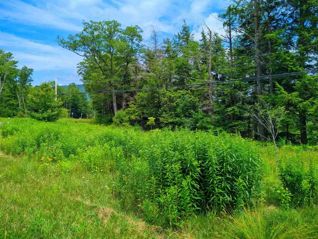 $55,000 | 150 Upper Cold River Road, Shrewsbury, VT 05738