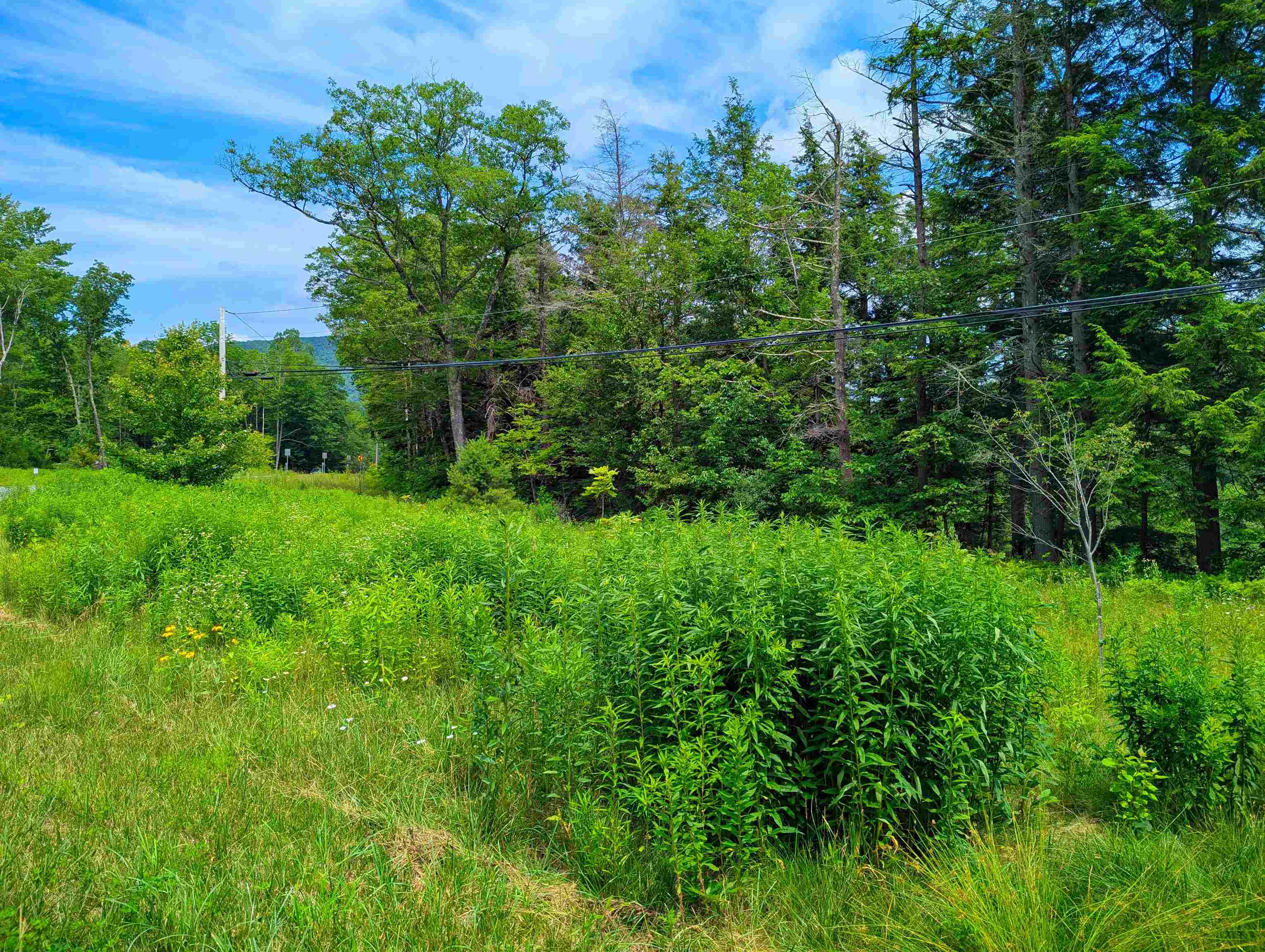 150 Upper Cold River Road Shrewsbury, VT 05738 - Photo 15 of 16