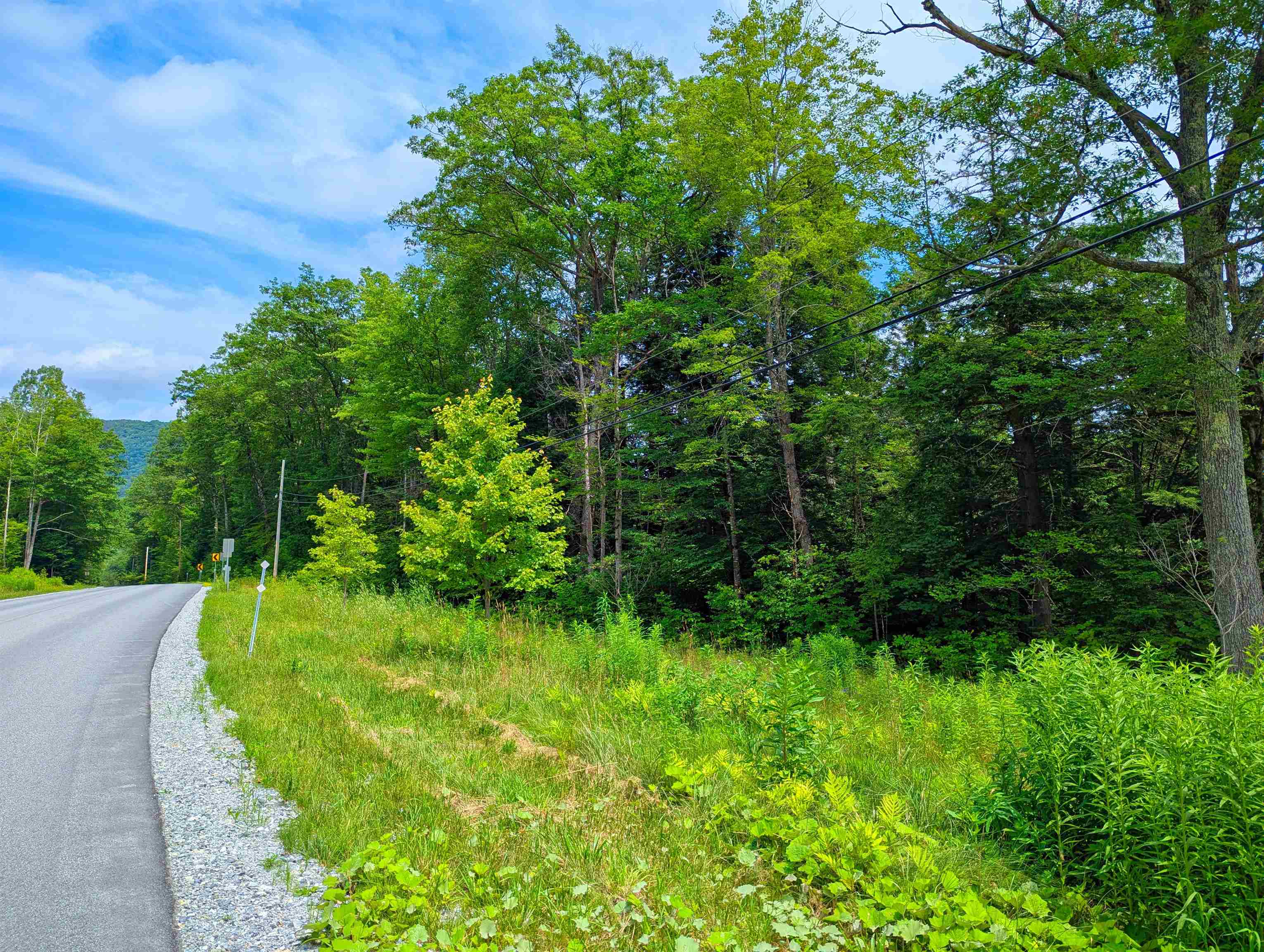 150 Upper Cold River Road Shrewsbury, VT 05738 - Photo 16 of 16