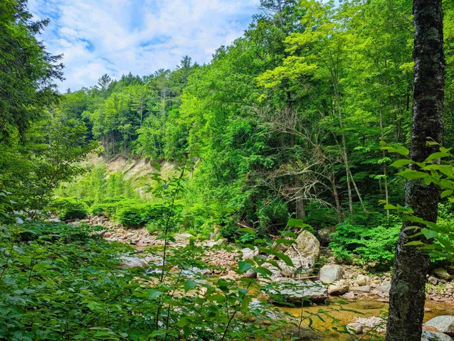 $55,000 | 150 Upper Cold River Road, Shrewsbury, VT 05738