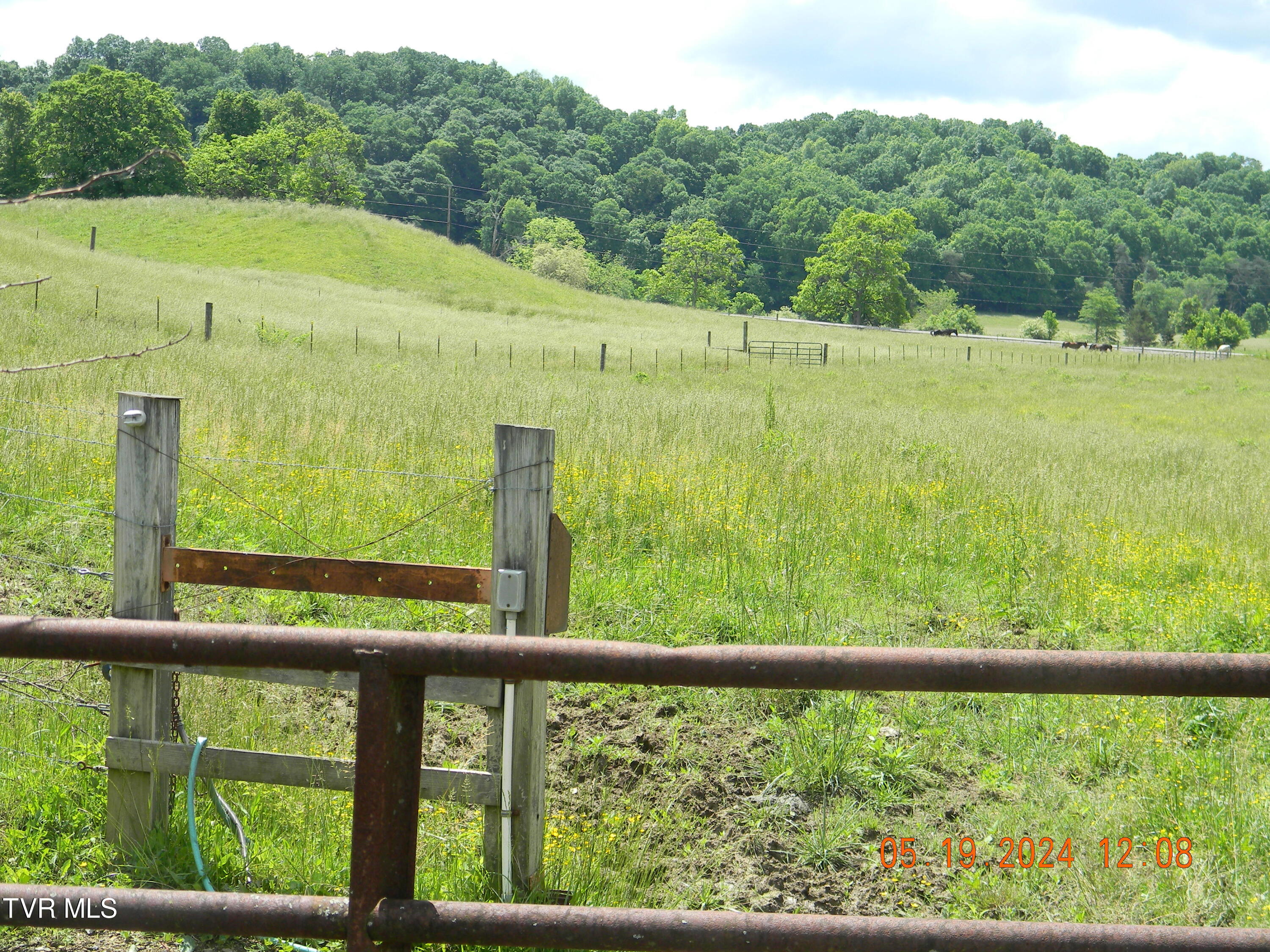 115 George Malone Road, Unit 14 Greeneville, TN 37745 - Photo 3 of 36 10.8a Pic 047