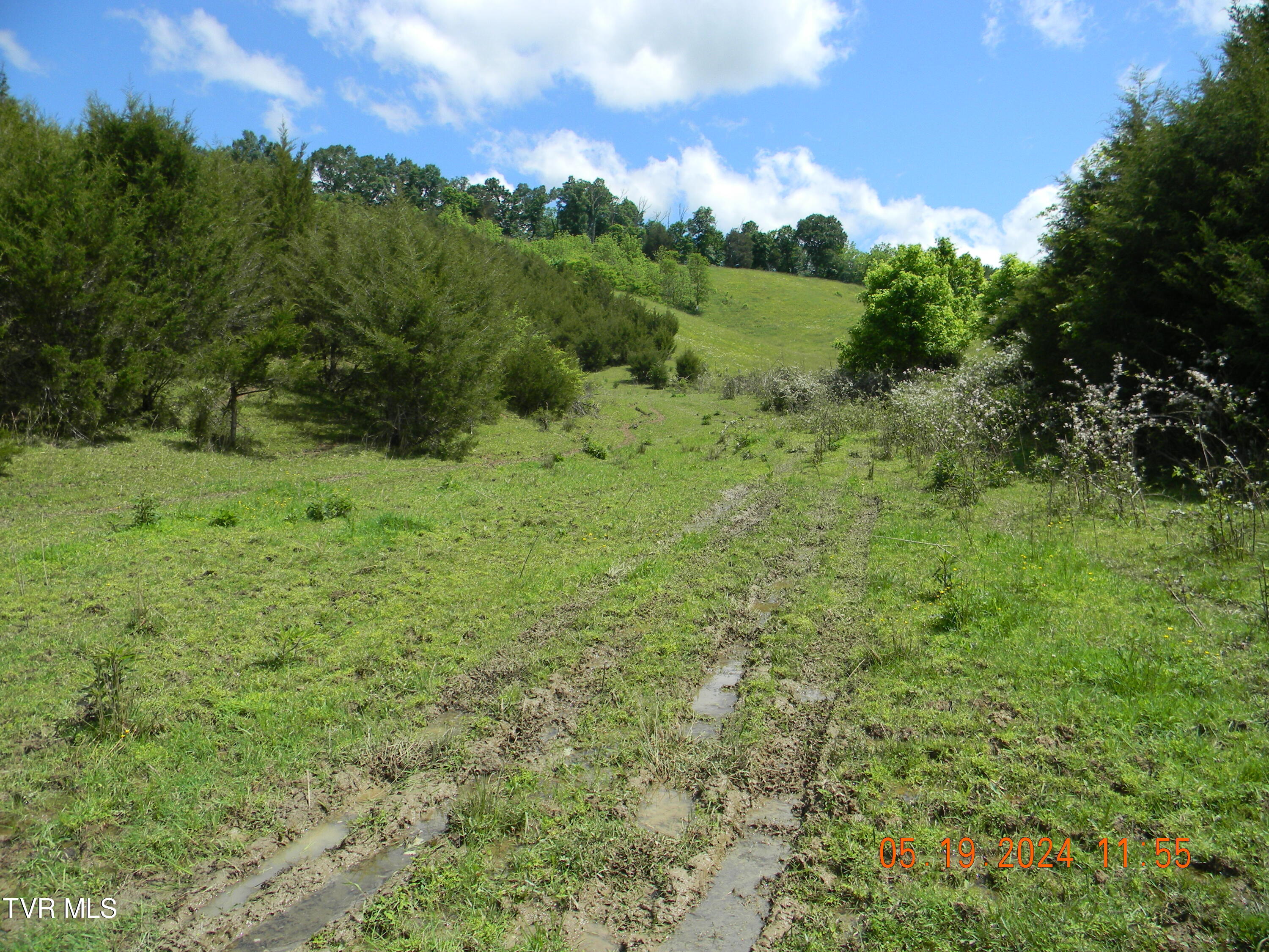 115 George Malone Road, Unit 14 Greeneville, TN 37745 - Photo 9 of 36 10.8a Pic 012