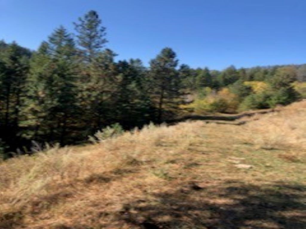 Xxx Moore Road Kettle Falls, WA 99141 - Photo 3 of 10 Gallery Image 3