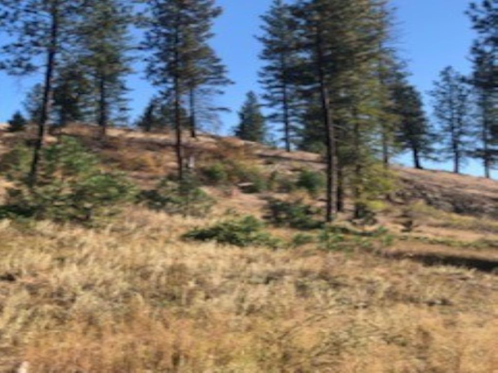 Xxx Moore Road Kettle Falls, WA 99141 - Photo 4 of 10 Gallery Image 4