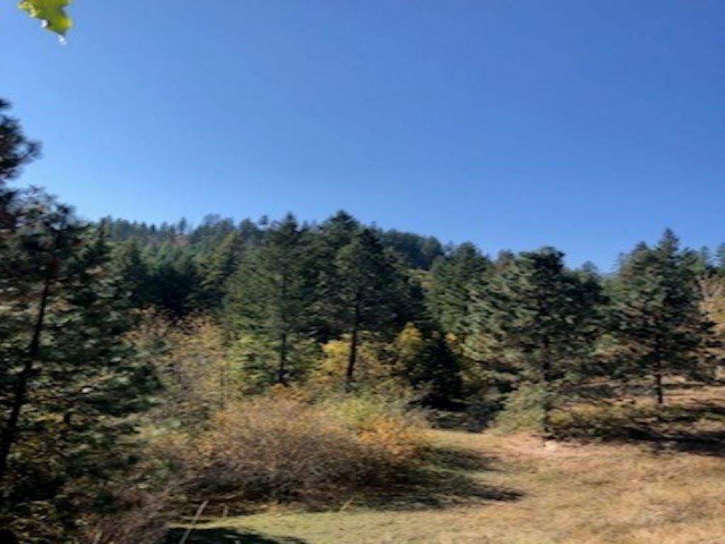 Xxx Moore Road Kettle Falls, WA 99141 - Photo 5 of 10 Gallery Image 5