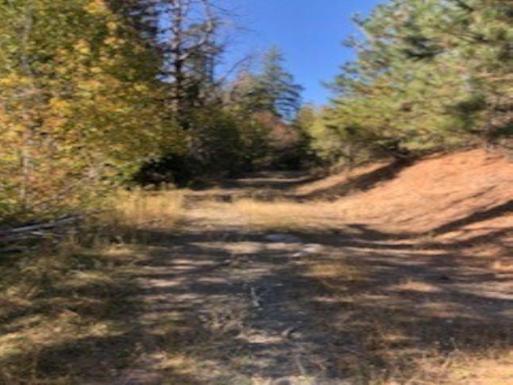 Xxx Moore Road Kettle Falls, WA 99141 - Photo 6 of 10 Gallery Image 6