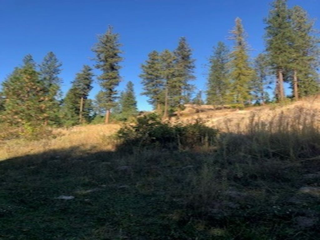 Xxx Moore Road Kettle Falls, WA 99141 - Photo 9 of 10 Gallery Image 9