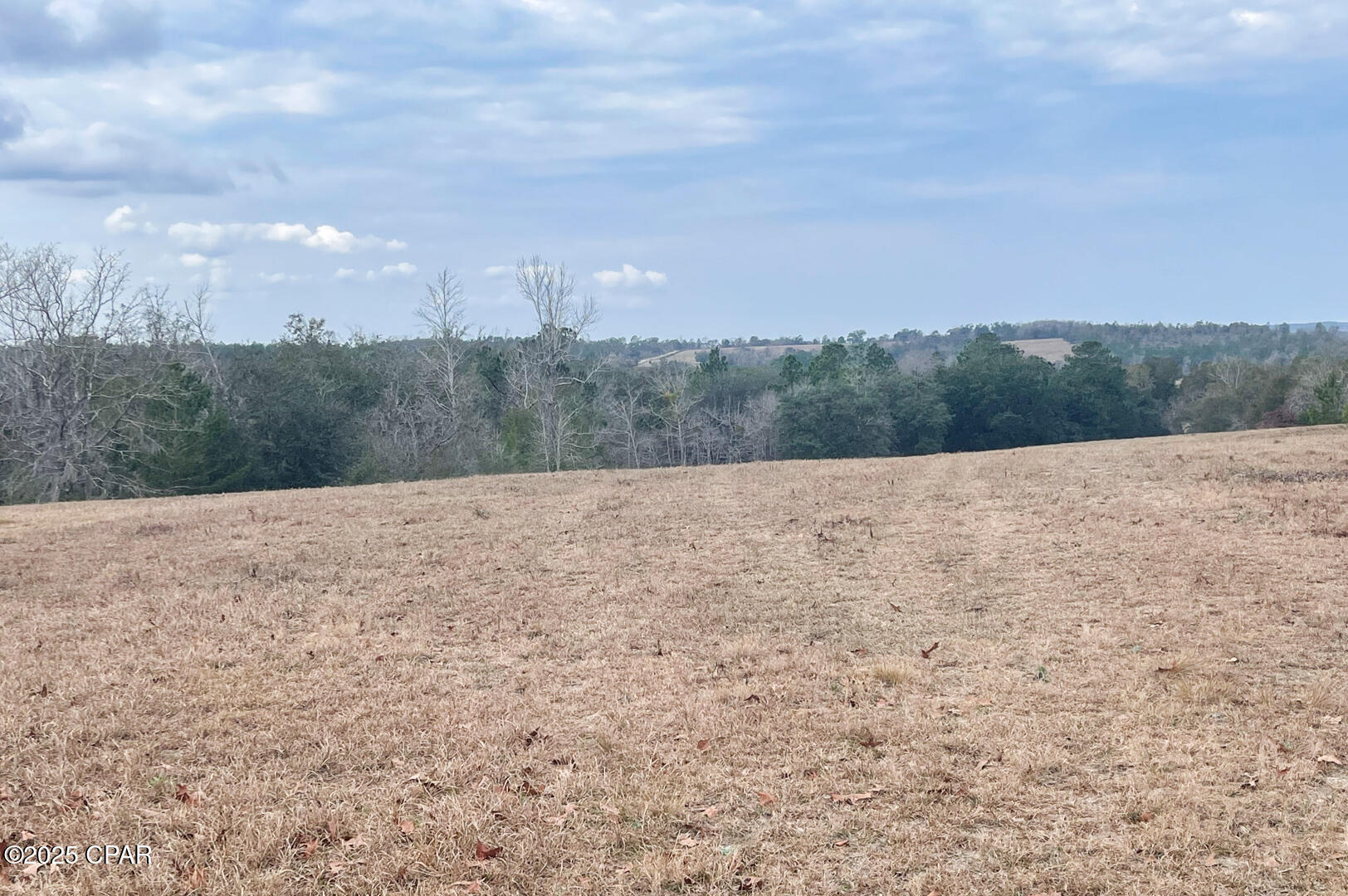 2025 Reedy Creek Road Alford, FL 32420 - Photo 18 of 41
