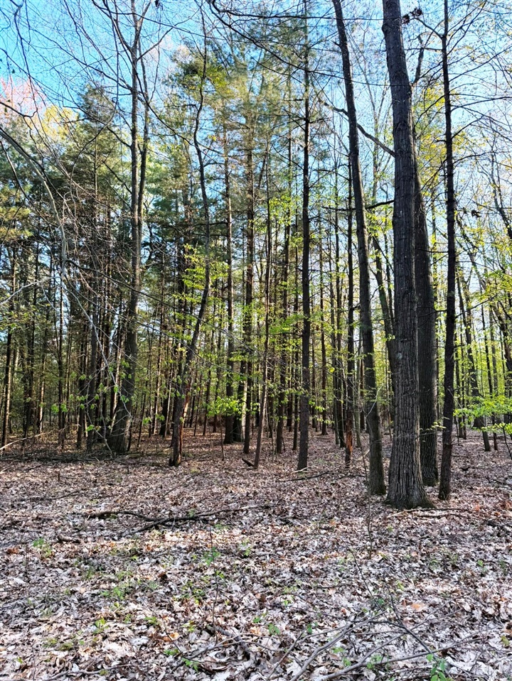 0 West Adams Road Hesperia, MI 49421 - Photo 29 of 74