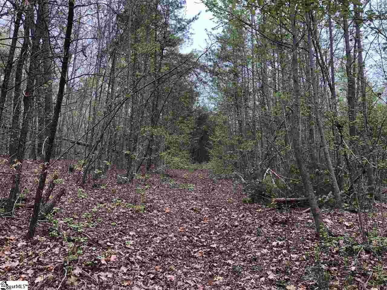 0 Jameson/wolf Creek Road Easley, SC 29640 - Photo 3 of 5 Gallery Image 3