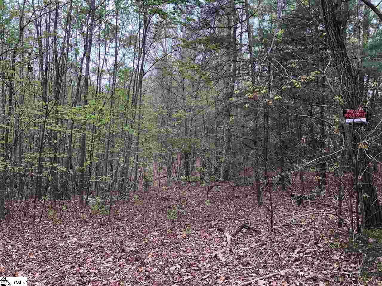 0 Jameson/wolf Creek Road Easley, SC 29640 - Photo 4 of 5 Gallery Image 4