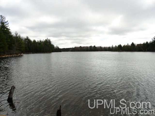 40-acres Perch Lake Road Champion, MI 49814 - Photo 6 of 11