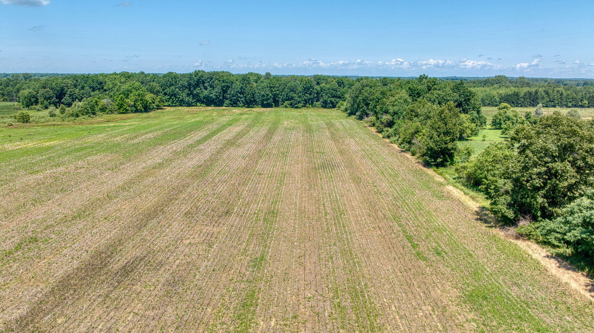 10.00 Acre Split 2 Case Road Brooklyn, MI 49230 - Photo 6 of 8 41-web-or-mls-DJI_0086_HDR