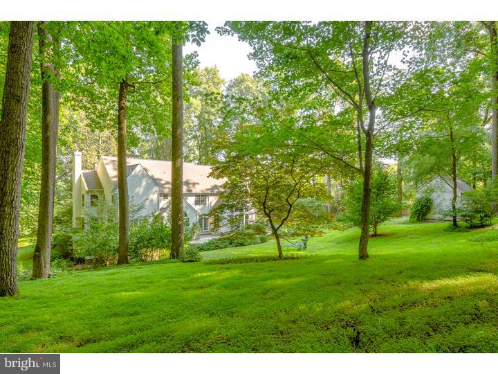 5602 Lower Mountain Road New Hope, PA 18938 - Photo 23 of 23 Back Yard