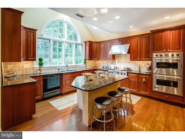 5602 Lower Mountain Road New Hope, PA 18938 - Photo 4 of 23 Kitchen