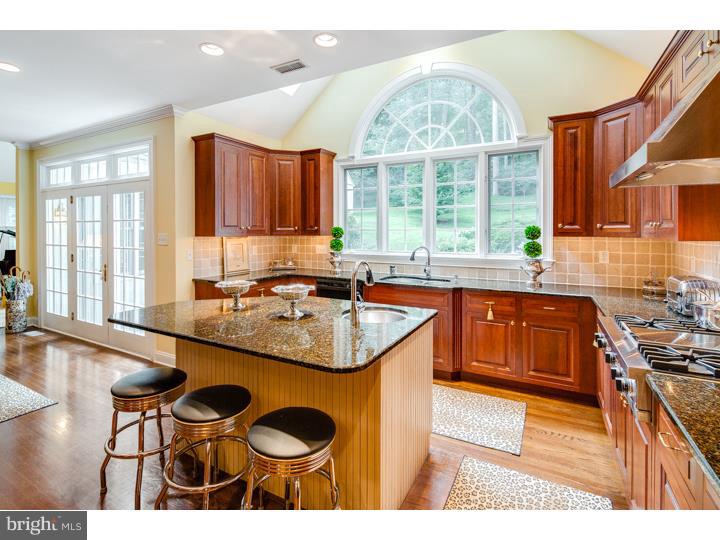 5602 Lower Mountain Road New Hope, PA 18938 - Photo 5 of 23 Kitchen