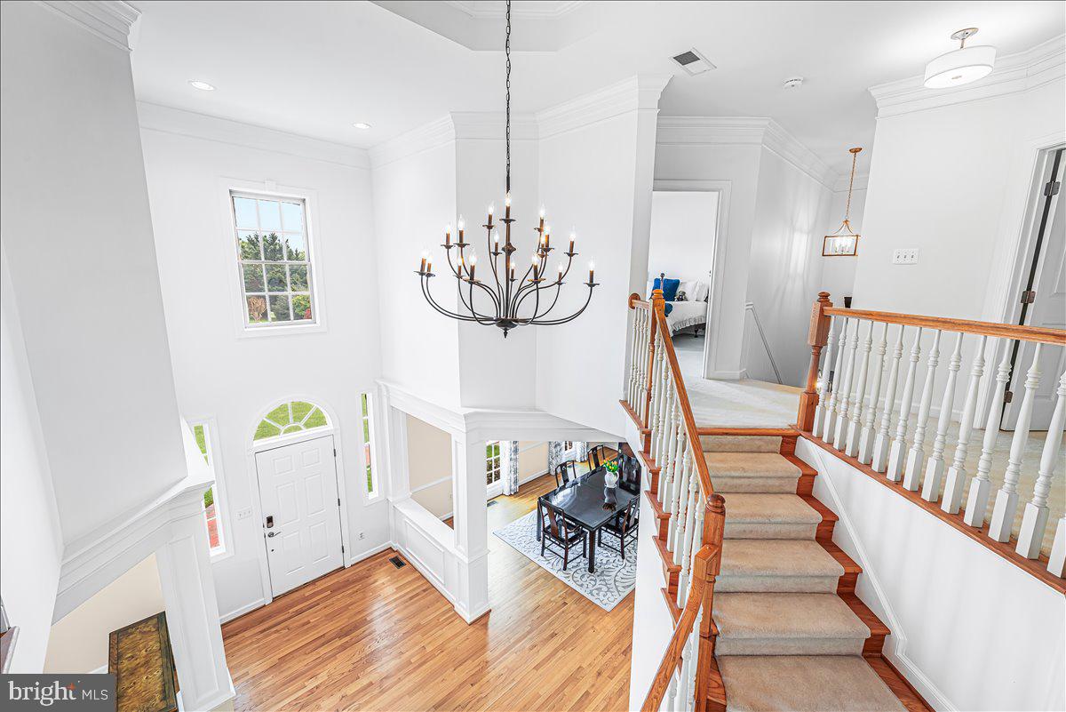 9653 Watkins Road Gaithersburg, MD 20882 - Photo 55 of 70 View into the sunny foyer