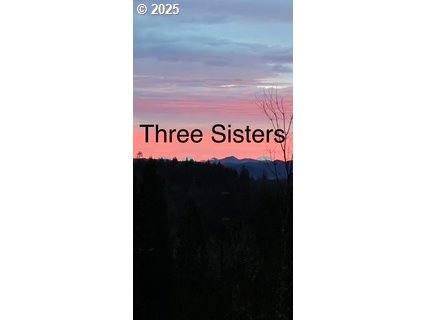 32810 Sisters Loop Eugene, OR 97405 - Photo 45 of 47