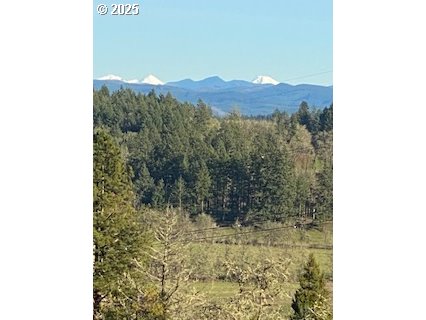 32810 Sisters Loop Eugene, OR 97405 - Photo 46 of 47