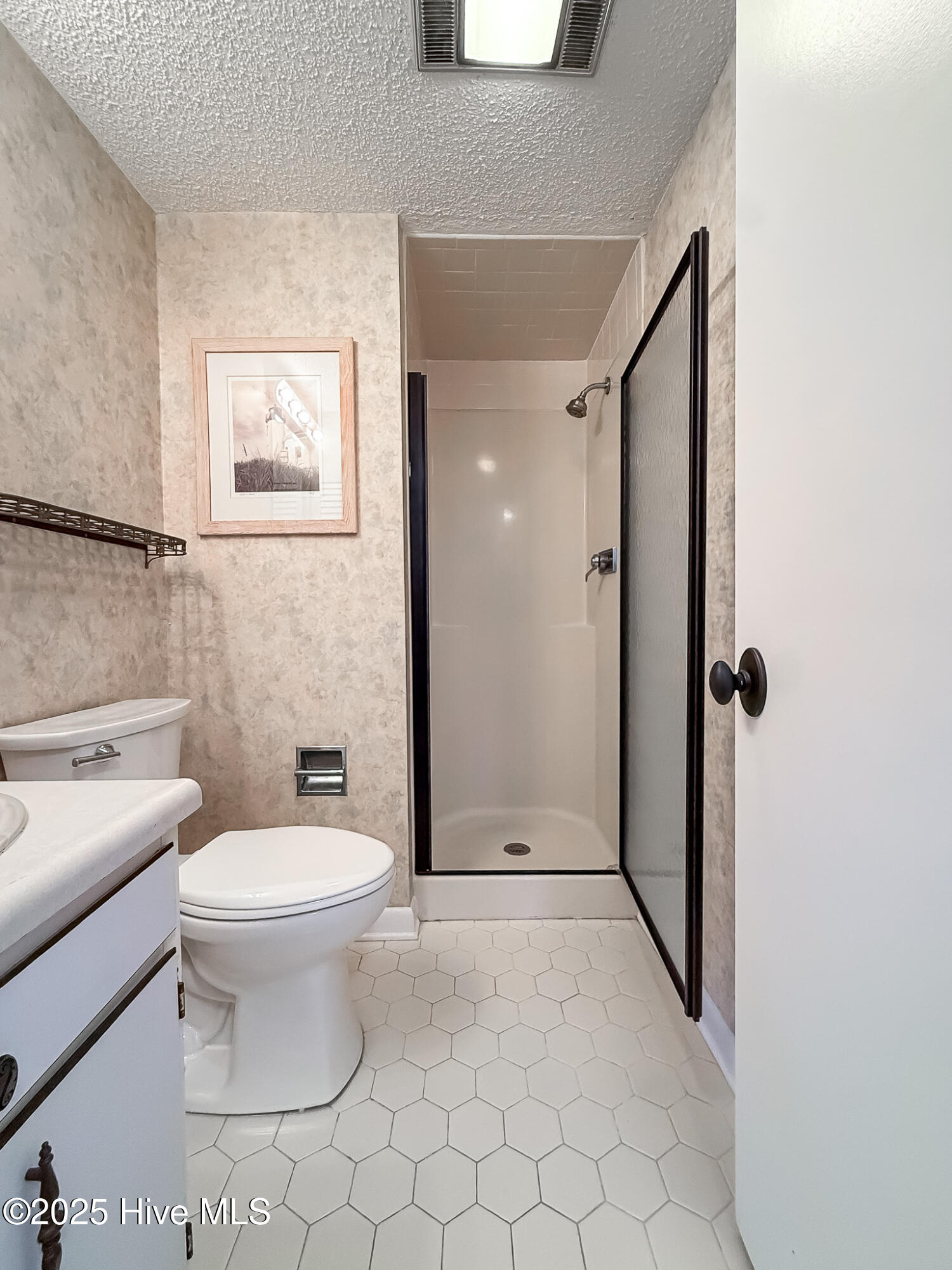 10 Pine Tree Road, Unit 203 Pinehurst, NC 28374 - Photo 28 of 42 Full Guest Bathroom w/Walk-in Shower