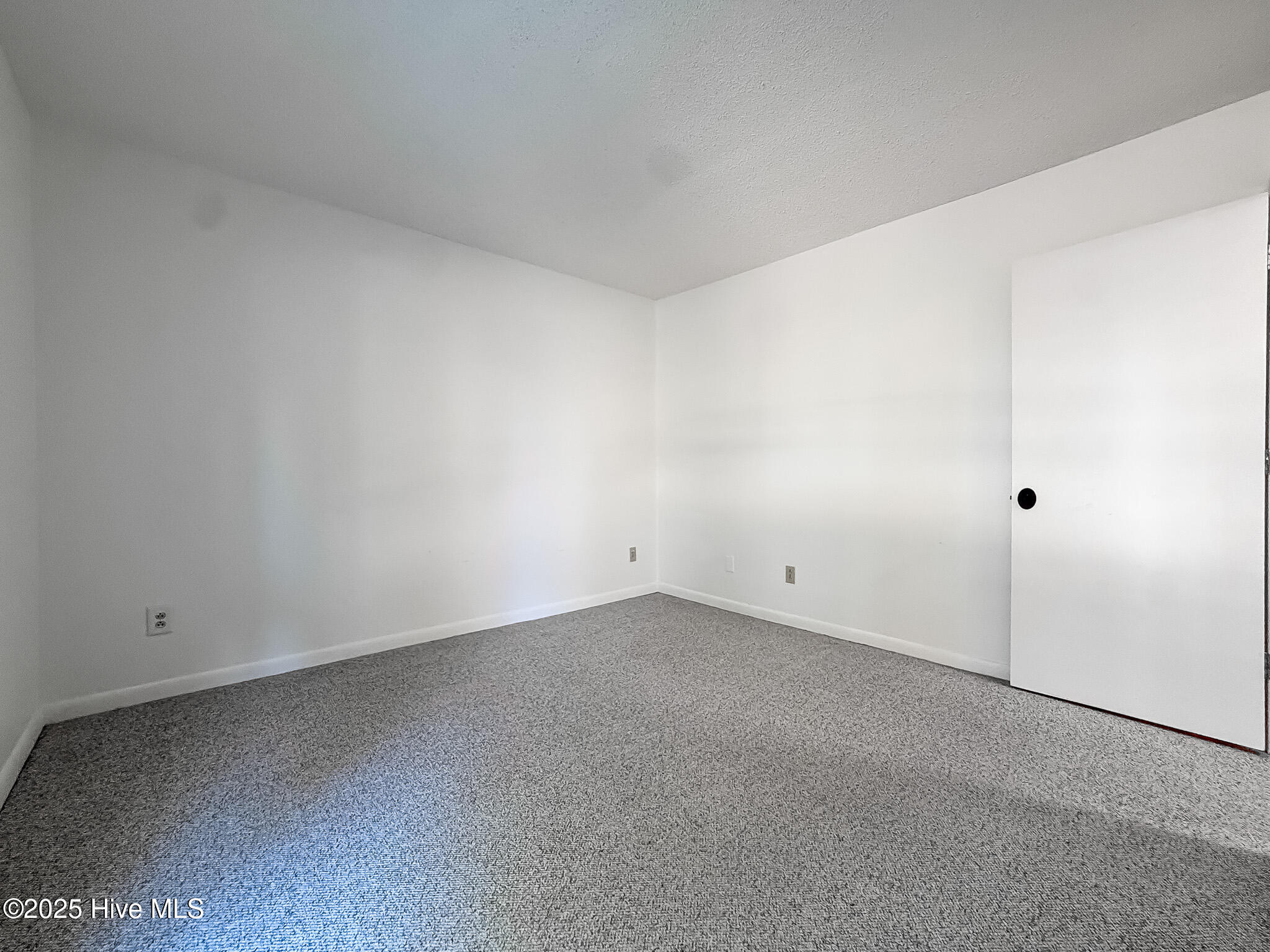 10 Pine Tree Road, Unit 203 Pinehurst, NC 28374 - Photo 33 of 42 Guest Bedroom