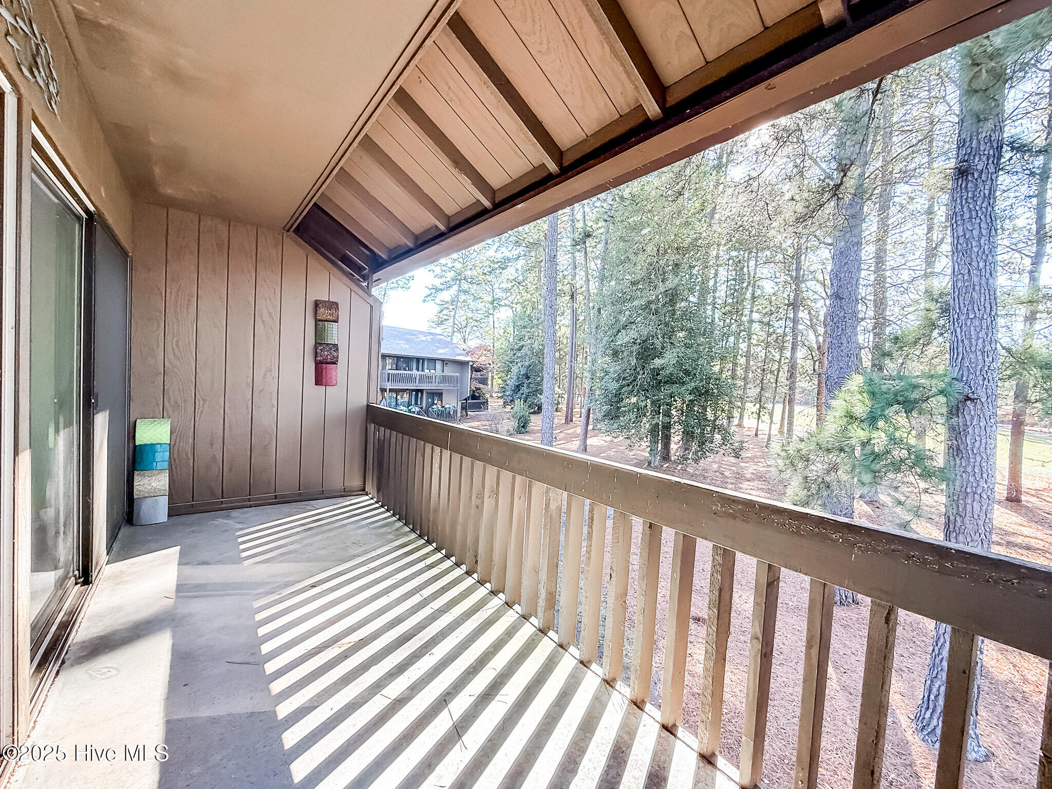 10 Pine Tree Road, Unit 203 Pinehurst, NC 28374 - Photo 36 of 42 Back Deck