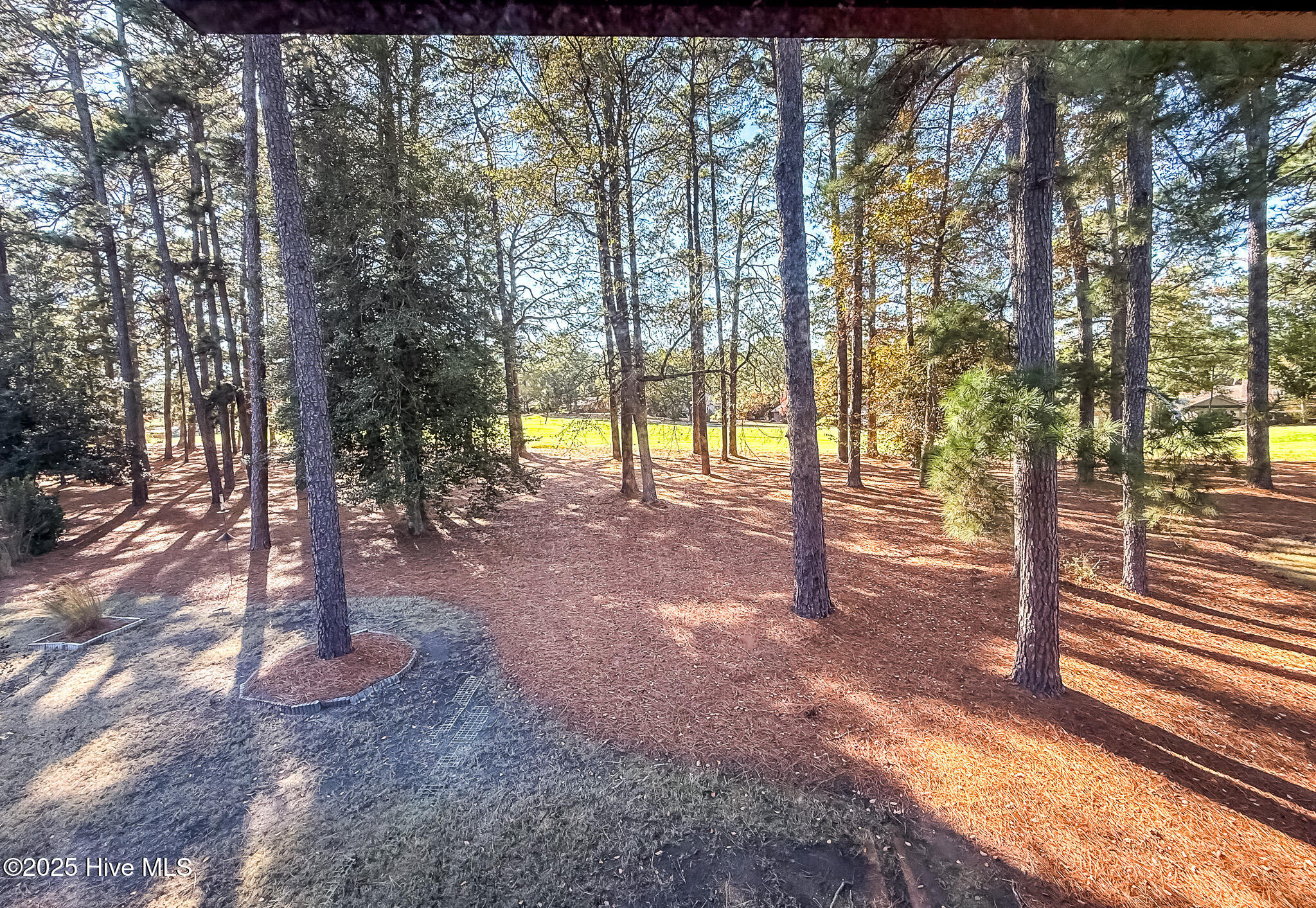 10 Pine Tree Road, Unit 203 Pinehurst, NC 28374 - Photo 40 of 42 Deck View to the Left