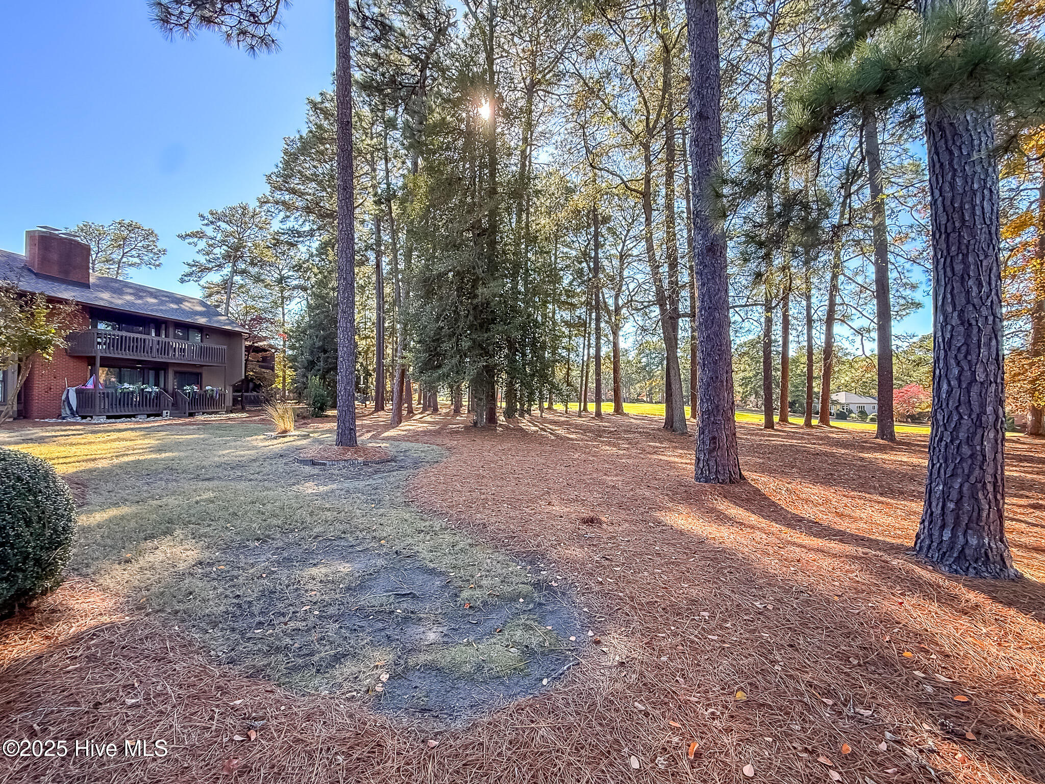 10 Pine Tree Road, Unit 203 Pinehurst, NC 28374 - Photo 42 of 42 Ground View of the Common Area & the Buffer to Golf Course
