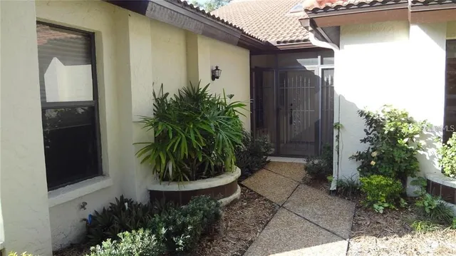 a potted plant in front of a door