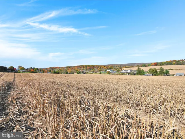 a view of an ocean beach and mountain