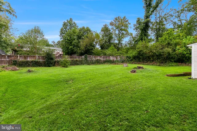 a view of a tree in a yard