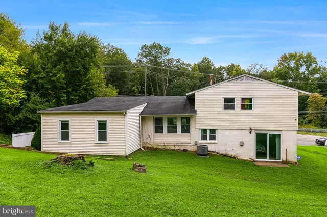 a view of a yard in front of a house with plants and large tree