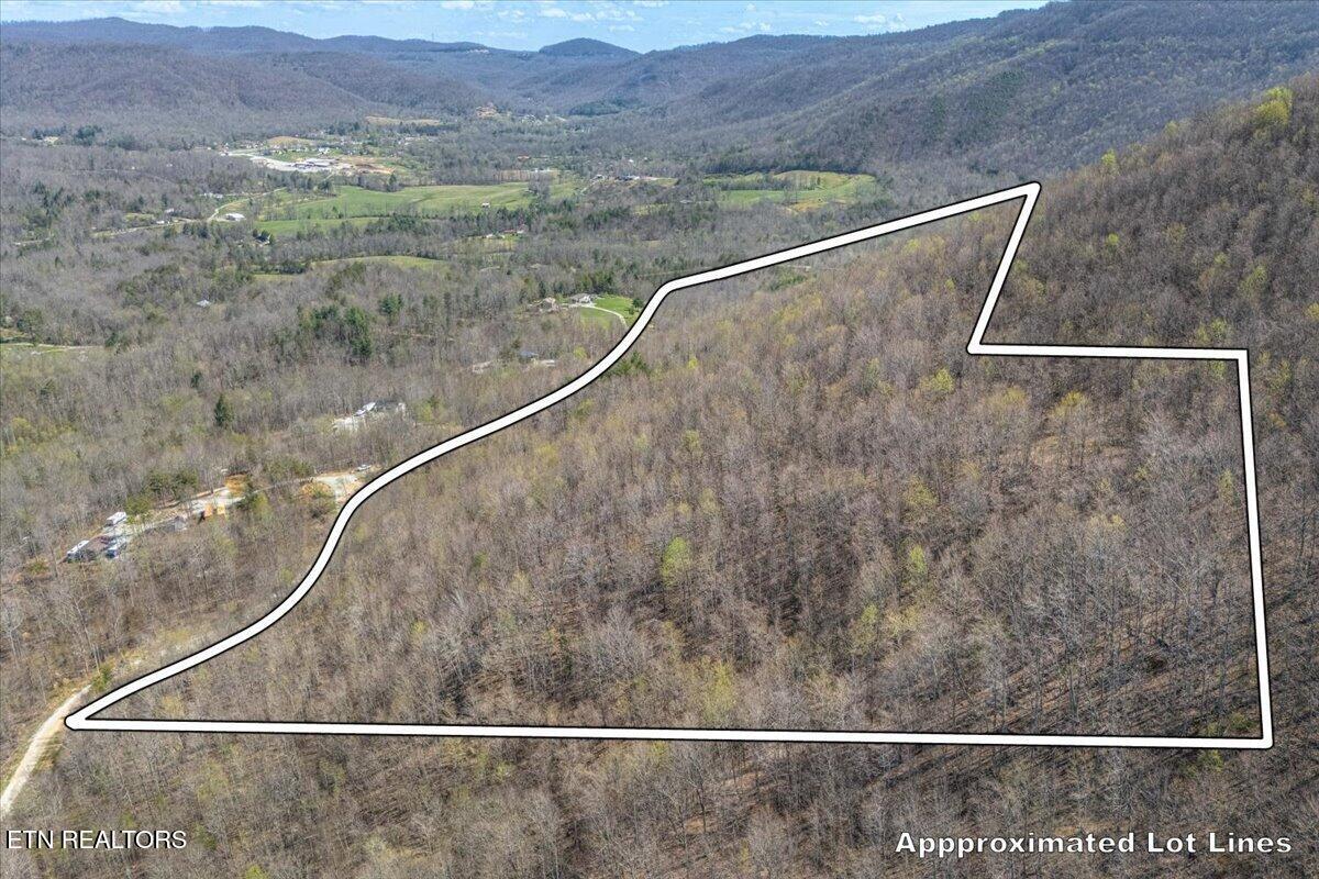 422 Crooked Branch Road Huntsville, TN 37756 - Photo 7 of 35 07-Lot Line A7