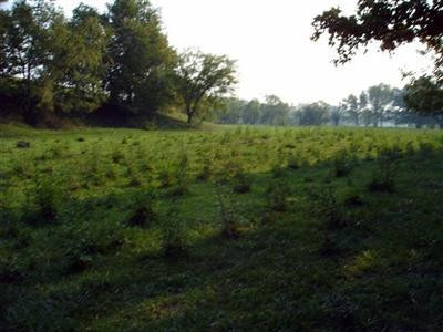 6 Plum Lick Road Mount Sterling, KY 40353 - Photo 3 of 7 Photo 3