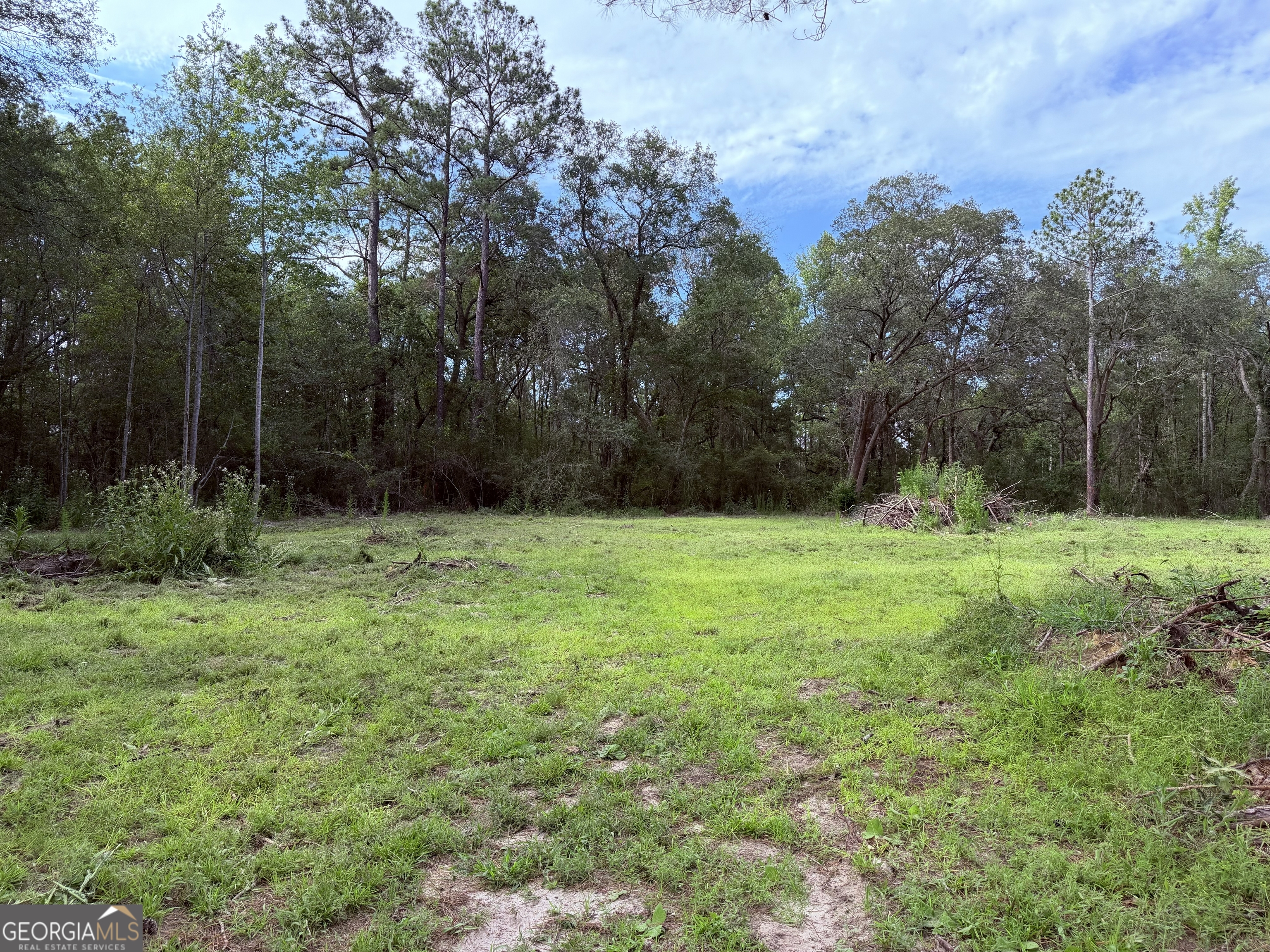 3980 Mosley Road Claxton, GA 30417 - Photo 6 of 10