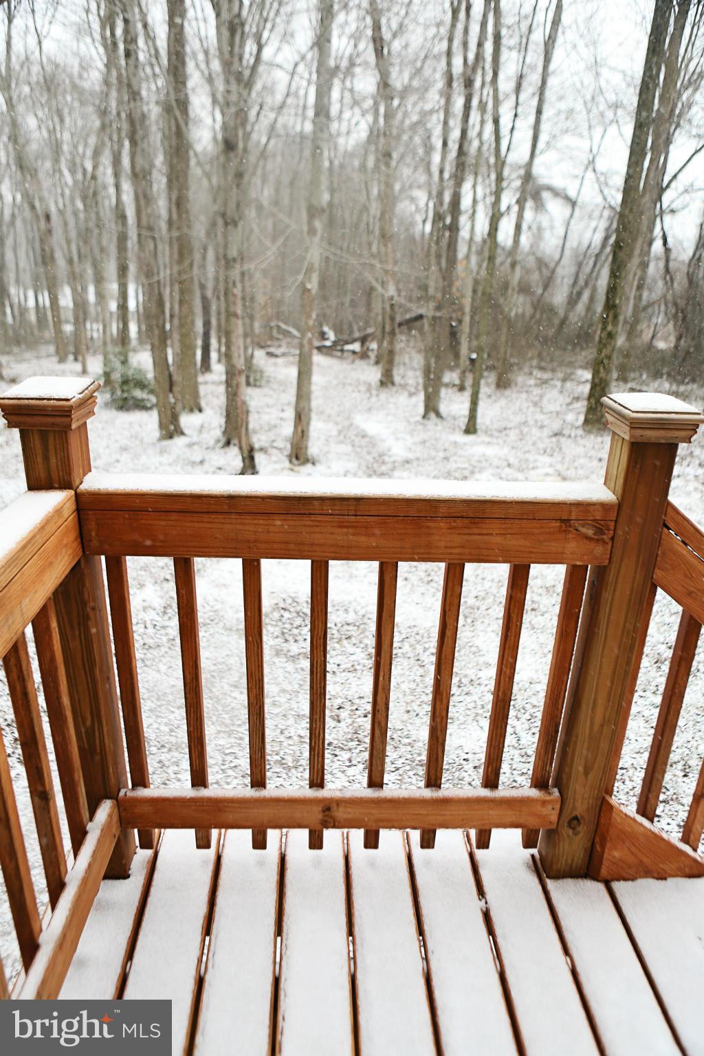 120 Blythedale Road Perryville, MD 21903 - Photo 10 of 25 View from Back Porch