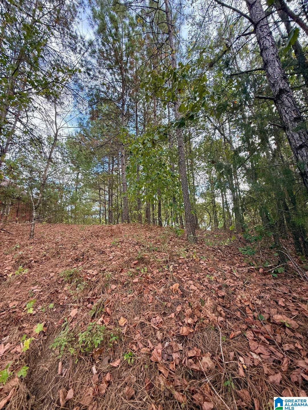 325 Deer Ridge Lane, Unit 29 Chelsea, AL 35043 - Photo 6 of 17