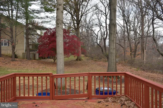 a backyard of a house with trees