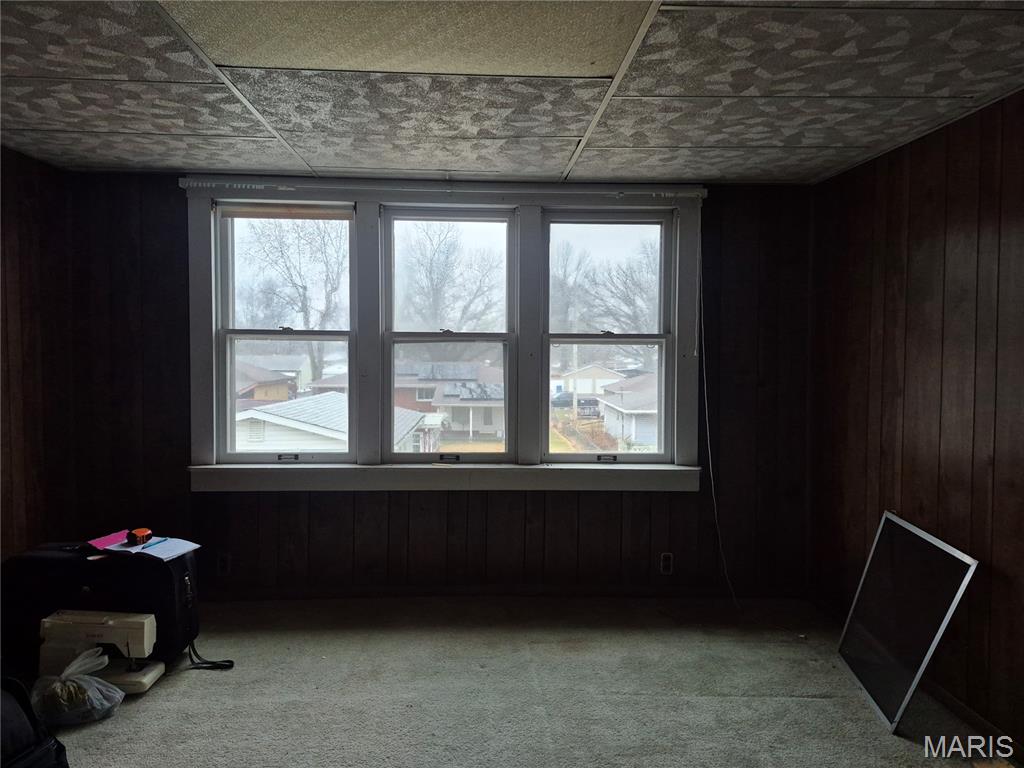 1530 Johnson Road Granite City, IL 62040 - Photo 29 of 49